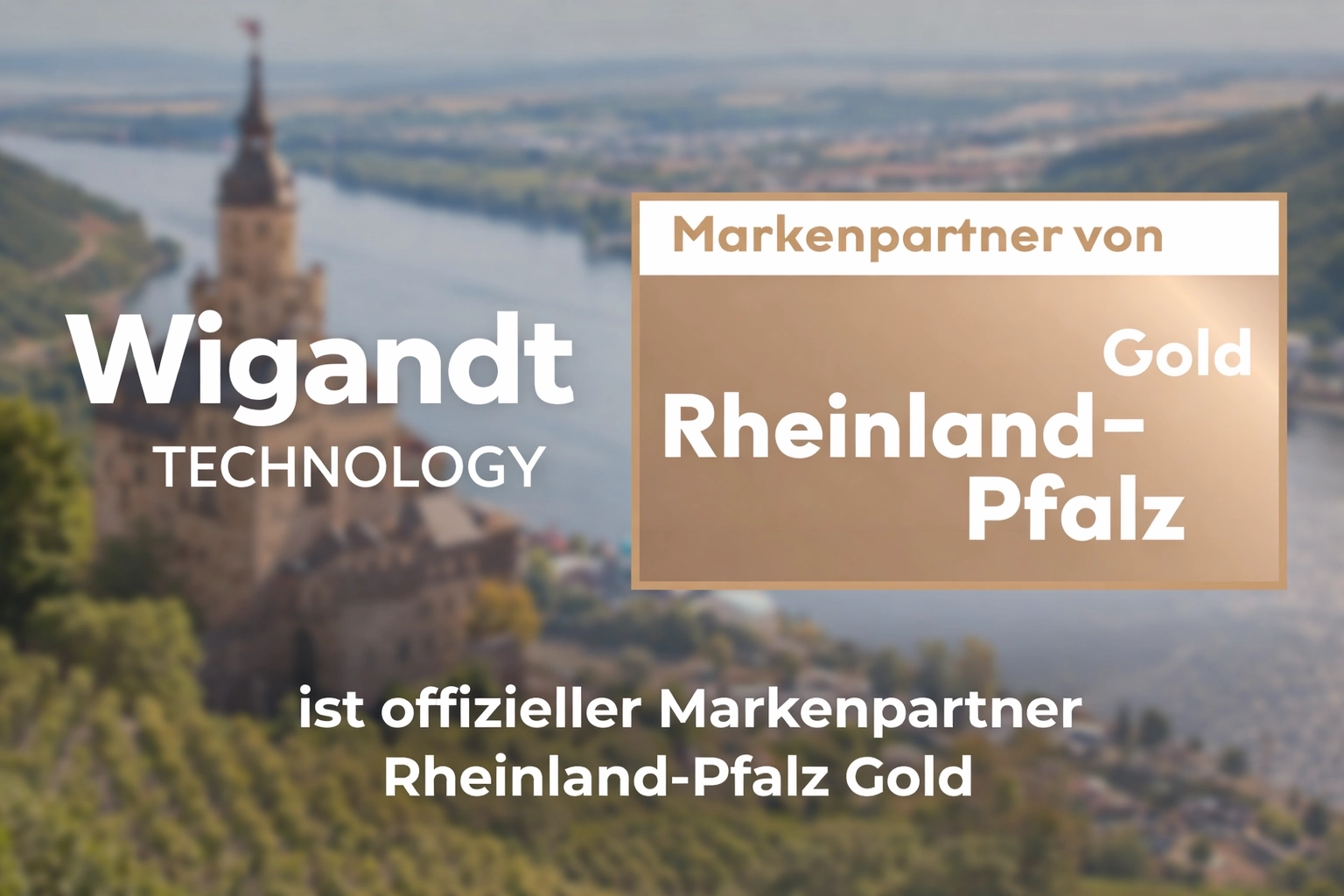 Markenpartner Rheinland-Pfalz Gold – Auszeichnung für Webentwicklung aus der Region