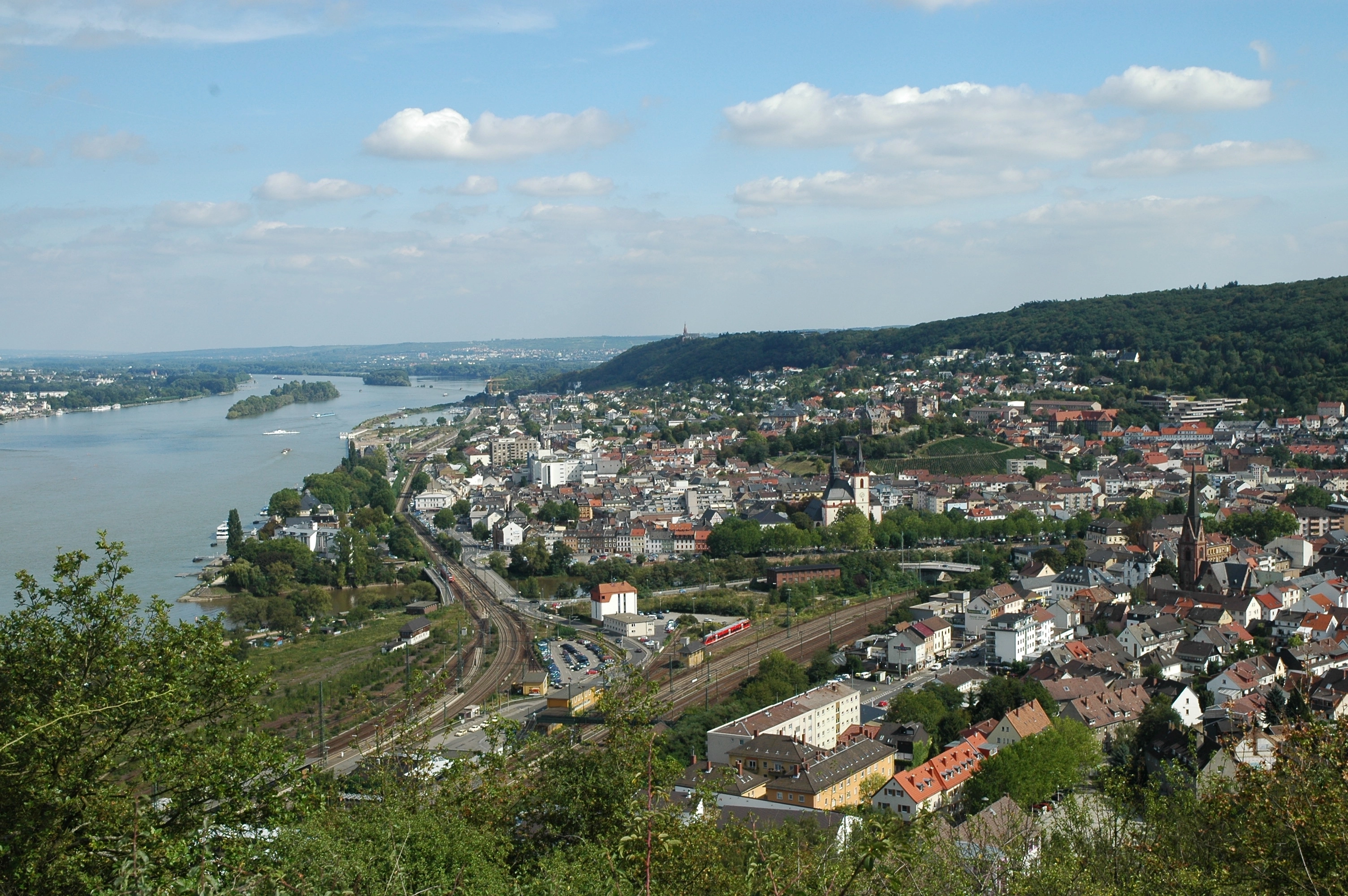 Region Bingen